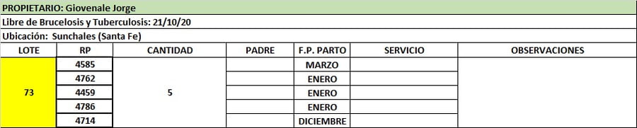 Lote Lote 73 Giovenale Jorge