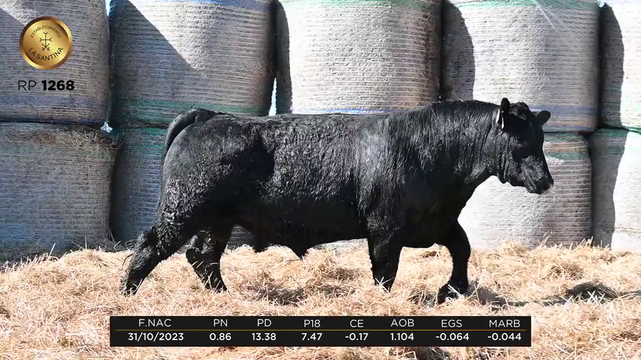 Lote LA SANTINA SERRUCHO 93-1268 TE