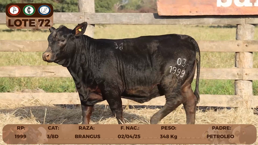 Lote LOTE 72- RESERVA DE CABAÑA