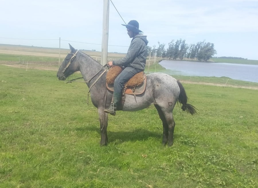 Lote Cabaña "Ana Elvira" - RP 10 - Cuca Carbonero