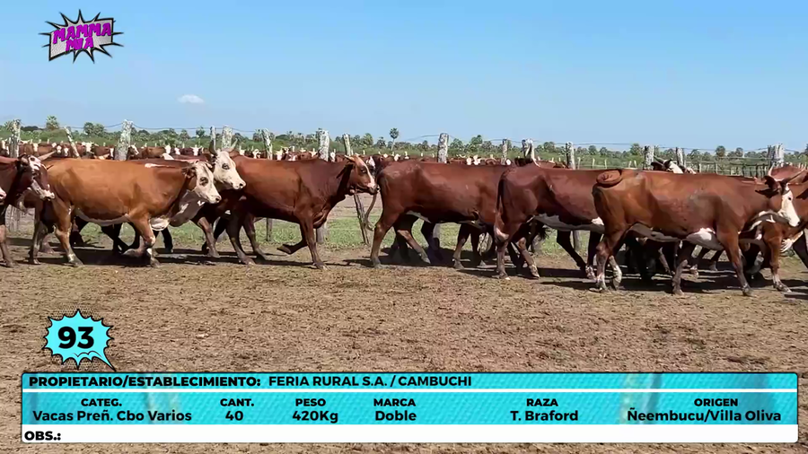 Lote LOTE 93