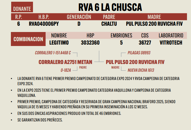 Lote LOTE 9