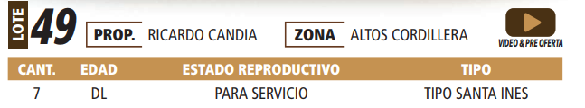 Lote LOTE 49 -POR PANTALLA