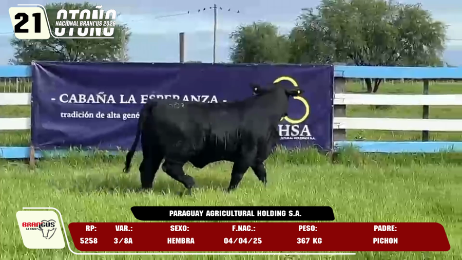 Lote LOTE 21 -DE JUNIOR