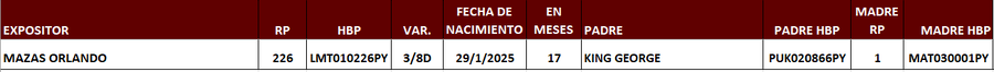Lote LOTE 38
