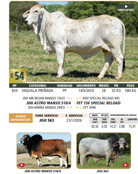 Lote LOTE 54