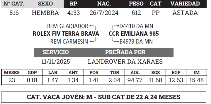 Lote LOTE 1 - BOZAL