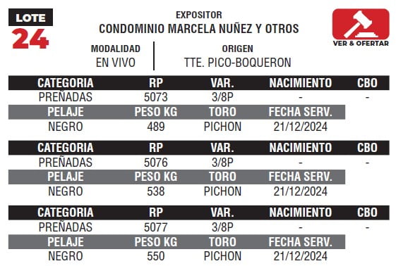 Lote LOTE 24- EN VIVO