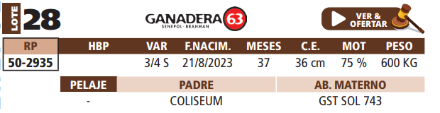 Lote LOTE 28