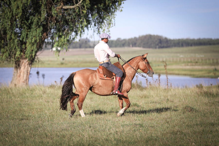 Lote Pampeana La Magdalena