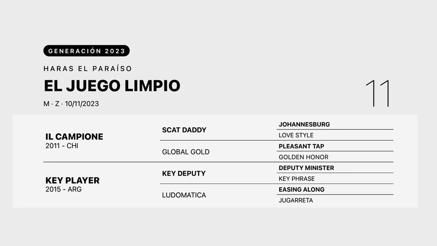 Lote EL JUEGO LIMPIO