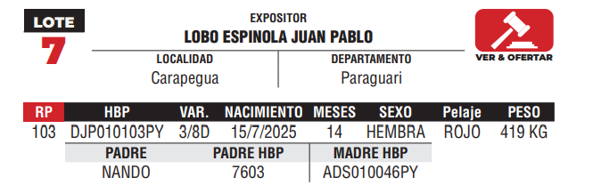 Lote LOTE 7 -JUNIOR