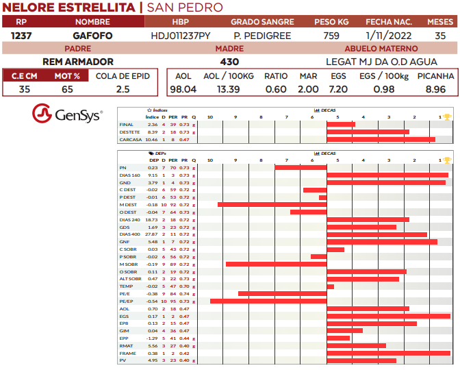 Lote LOTE 13