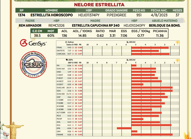 Lote LOTE 72