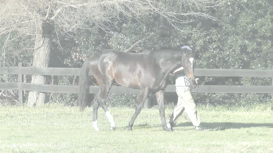 Lote DESPUES TIME (ANNALS OF TIME -  LA DE AFTER)