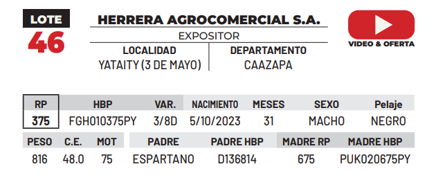 Lote LOTE 46 -DE CAMPO