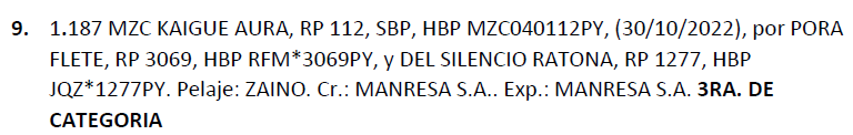 Lote LOTE 9