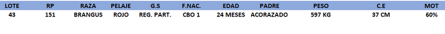 Lote LOTE 43