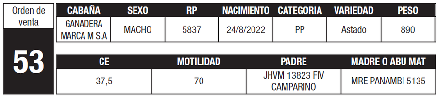 Lote LOTE 53