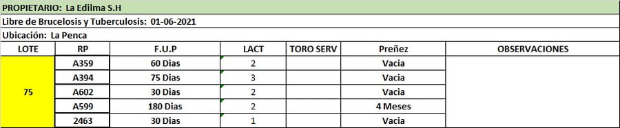 Lote Lote 75 La Edilma S.H