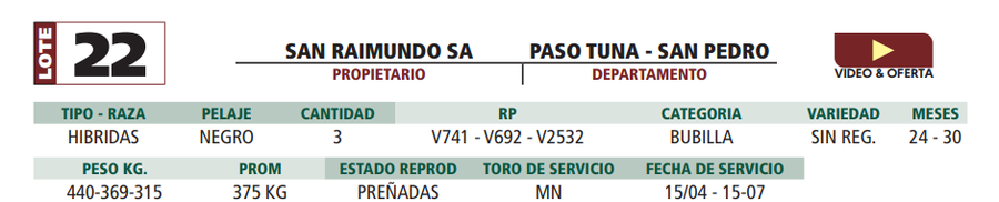 Lote LOTE 22