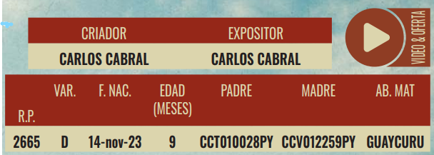 Lote LOTE 17 - HEMBRAS DE CORRAL