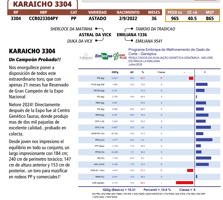 Lote LOTE 34 DE BOZAL