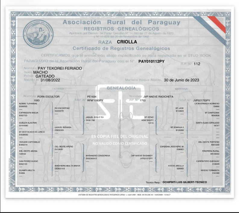 Lote LOTE 17 - DE CAMPO