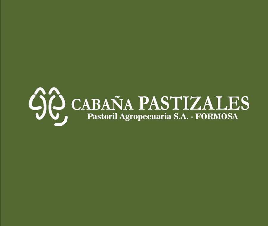 Lote OVERO MANCHADO CORRAL 48