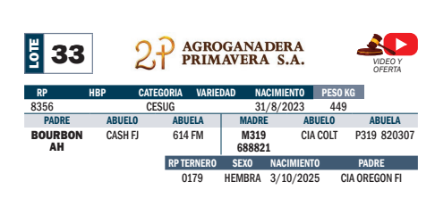 Lote LOTE 33- POR PANTALLA