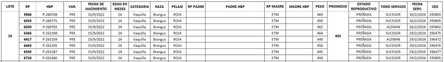 Lote LOTE 25