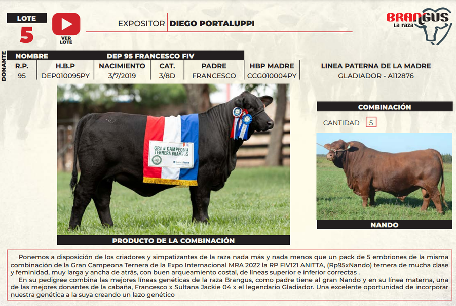 Lote LOTE 5