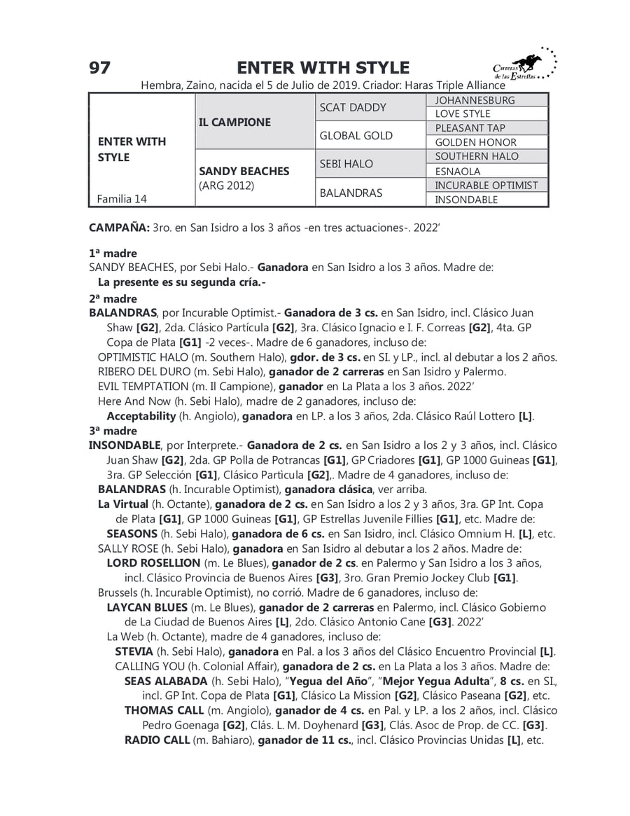 Lote ENTER WITH STYLE