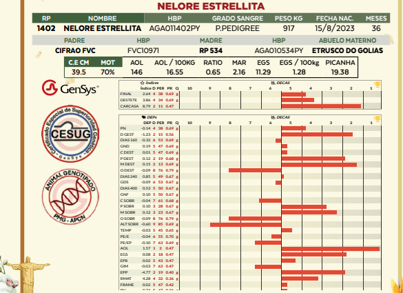 Lote LOTE 51