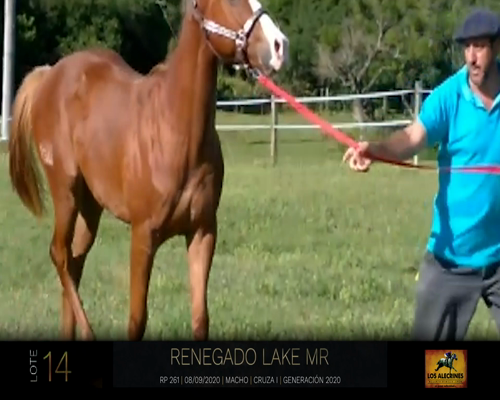 Lote RENEGADO LAKE MR