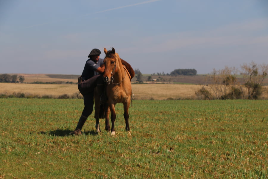 Lote ALMENDRA DEL CONVENTOS