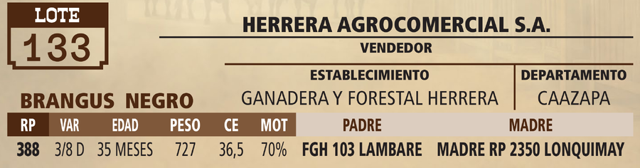 Lote LOTE 133 - VIVO