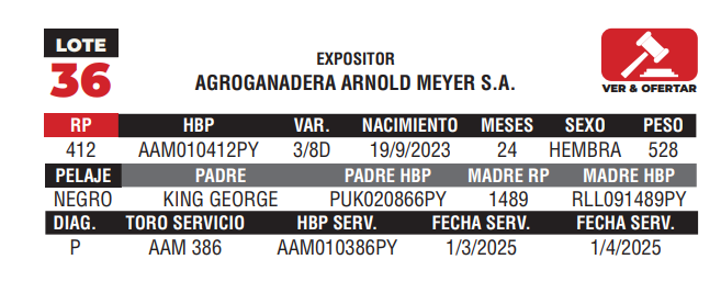 Lote LOTE 36 - CAMPO