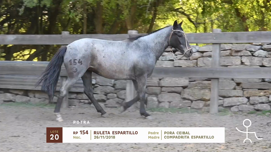 Lote RULETA ESPARTILLO