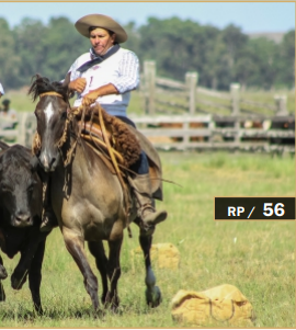 Lote GUARANY DE LA LEGUA