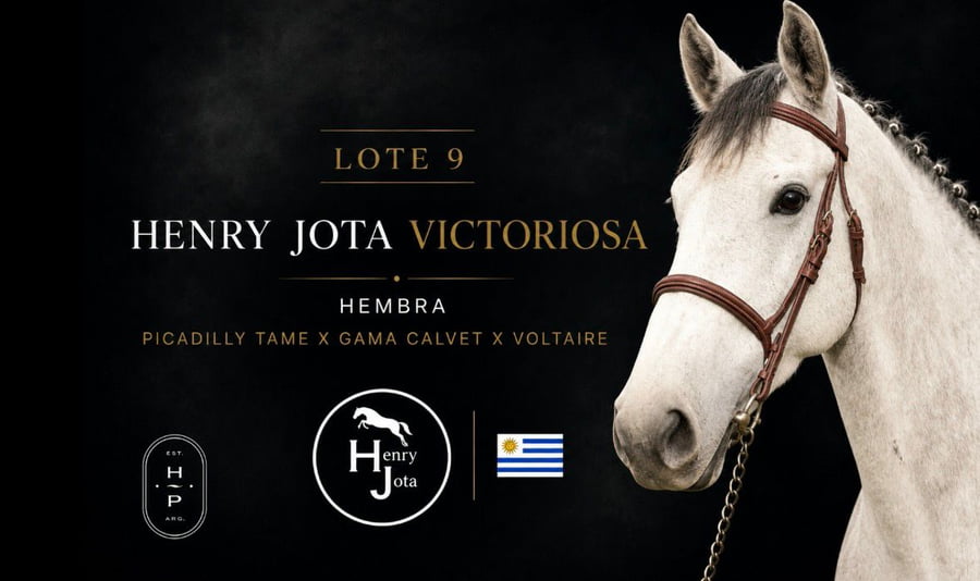 Lote HENRY JOTA VICTORIOSA