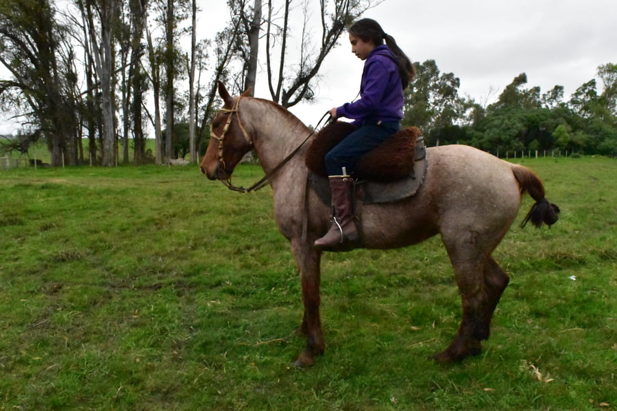 Lote Cabaña "Media Rienda" - RP 40 - SAPUCAY
