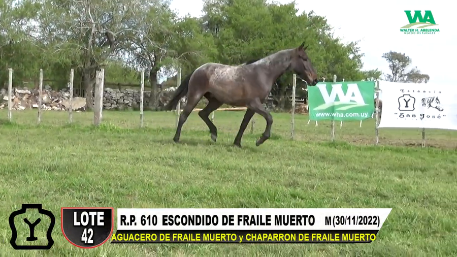 Lote ESCONDIDO DE FRAILE MUERTO