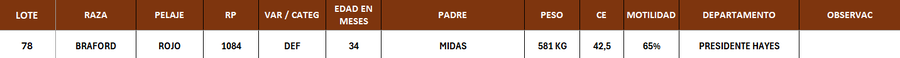 Lote LOTE 78