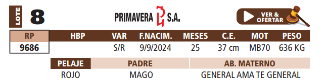 Lote LOTE 8