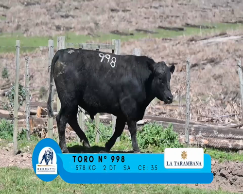 Lote TORO 998