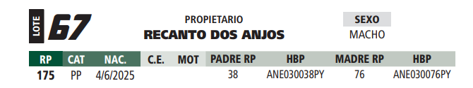 Lote LOTE 67