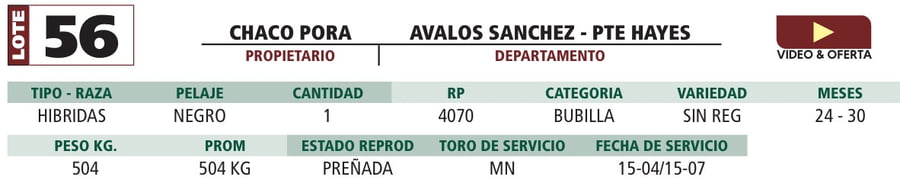 Lote LOTE 56