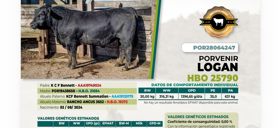 Lote 1 Toro LOGAN DIIO 4247