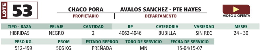 Lote LOTE 53
